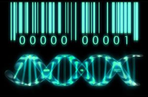 جزوه زیست شناسی مبحث ماده ژنتیک خط به خط